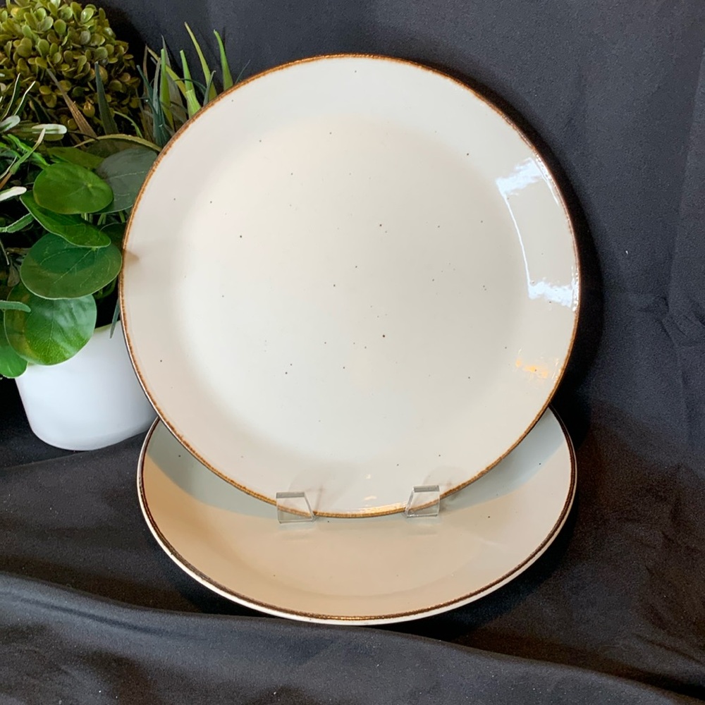 Set of 2 vintage J&G Meakin 10” Lifestyle dinner plates